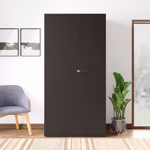 Auraline Men Premium 2-Door Steel Almirah